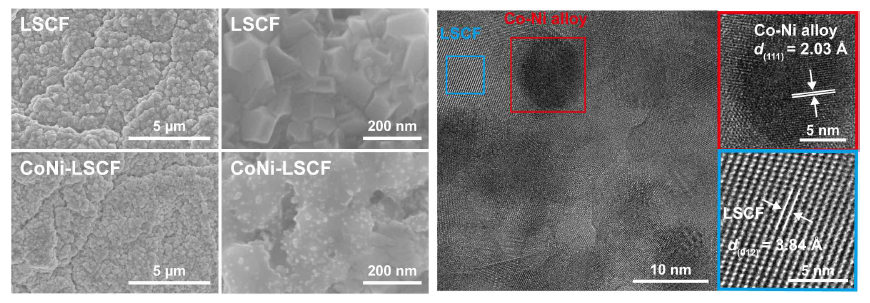 CoNi-LSCF/NF 촉매의 SEM 및 TEM 분석