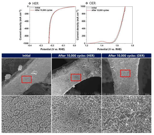 CoNi-LSCF 촉매의 half cell에 대한 CV test 전/후 전기화학성능 및 표면 구조 모습