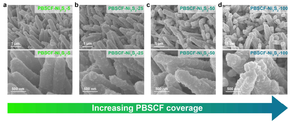 전구체 농도 조절을 통한 PBSCF-Ni3S2 표면 형상 제어