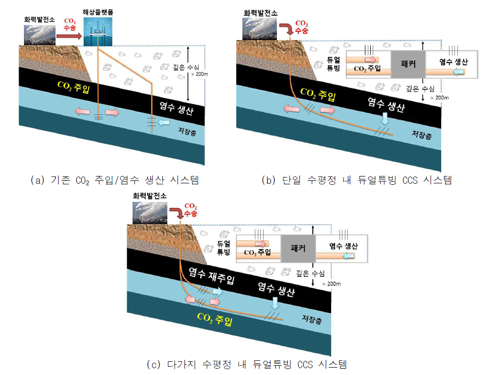 수평정 내 듀얼튜빙 CCS 시스템 개념도