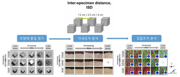 시료 간 거리 간격 변화에 따른 조형체 특성 변화 분석 과정