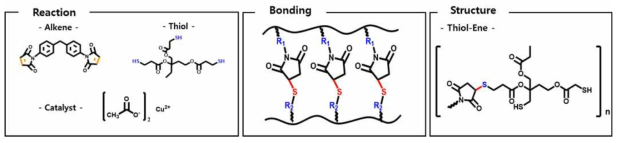 Thiol-ene 중합에 사용한 단량체 구조 및 합성반응