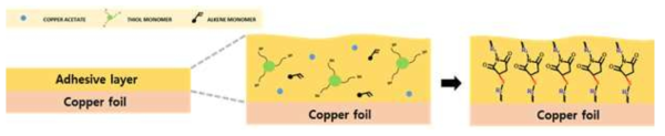 동박 표면에서의 구리 촉매 중합 반응 모식도