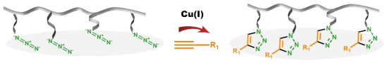 아크릴레이트 아자이드 고분자의 구리 매개 click reaction 과정