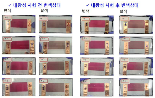 내광성 시험 전후 변색상태 비교