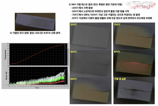 삼성전기 Ni 전극을 사용한 BNLT-MLCC의 마이크로파 유도가열 테스트