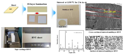 BNT계 분말을 이용한 tape-casting 및 green sheet 제조와 소결 후 XRD 패턴 및 SEM 이미지