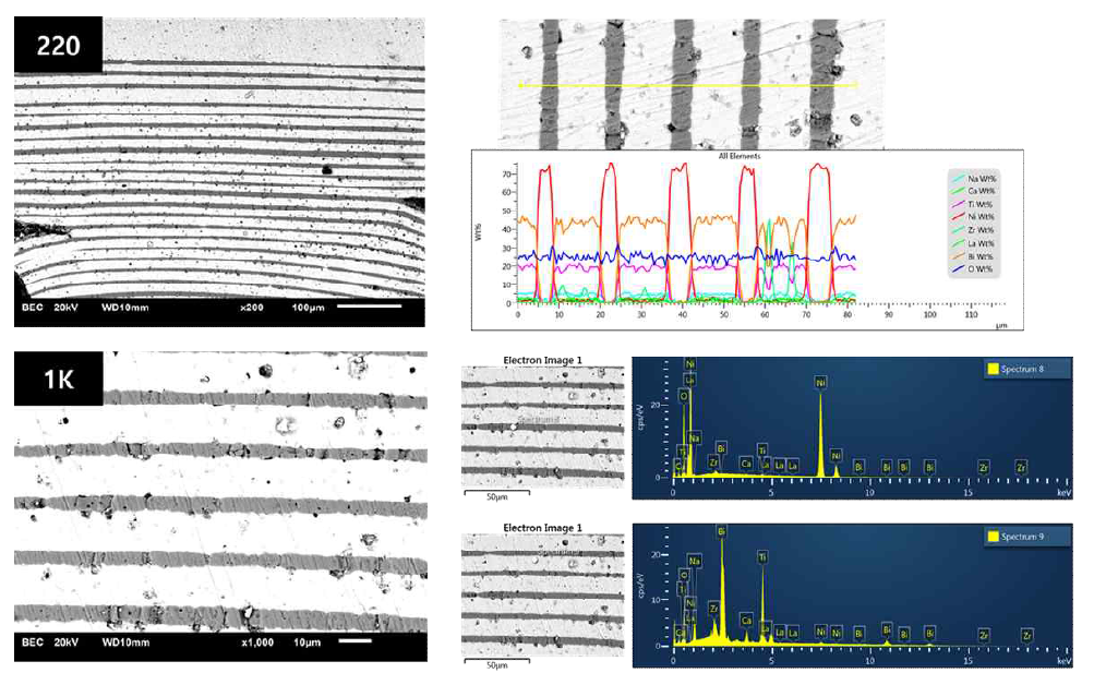 환원분위기 소결 조건(1140℃ for 2hr in pO2~10-6 atm)을 사용하여 소결된 BNT-Ni multilayer 칩의 SEM 이미지와 EDS 분석결과