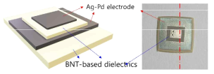 Ag-Pd single layer 칩 모식도 및 샘플 사진