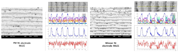 2차 번아웃 후 FM Ni 전극 및 Winner Ni 전극의 SEM 및 EDS 측정 결과