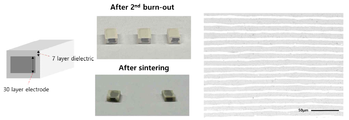 개선된 Ag-Pd 전극을 사용한 BNT계 MLCC 개략도 및 샘플 사진 및 SEM 측정 결과