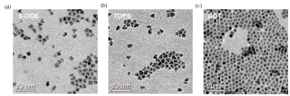 녹색 발광 InP(r=1.2nm)/ZnSe(l=2.0nm)/ZnS(h=0.6nm) 양자점의 반응 전구체별 TEM 이미지 (a) S-ODE, (b) TOPS, (C) DDT