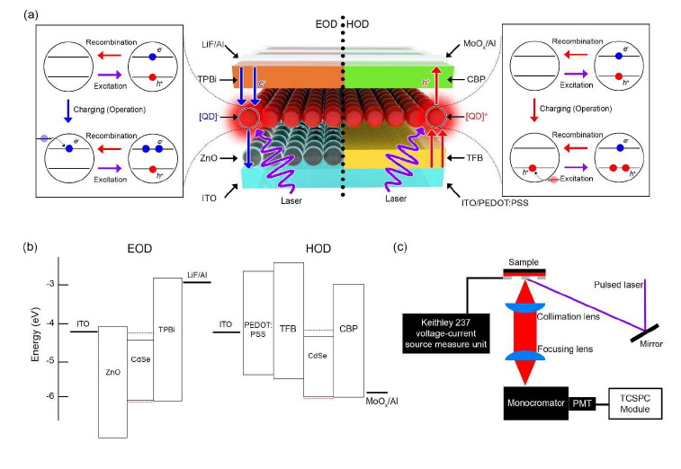 (a), (b) hole-only device (HOD)와 electron-only device (EOD)를 이용한 multi-exciton 생성 모식도, (c) 분광학 측정 모식도