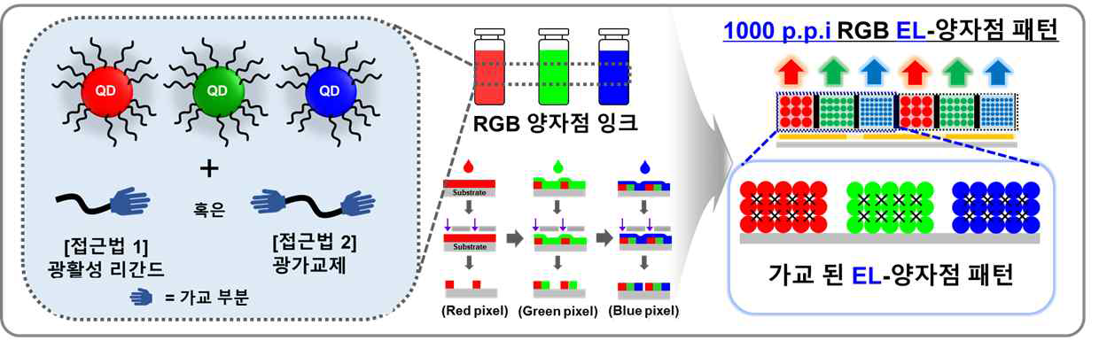 광활성 리간드 소재를 통해 가교된 고해상도 EL-RGB 양자점 소자 제작 공정