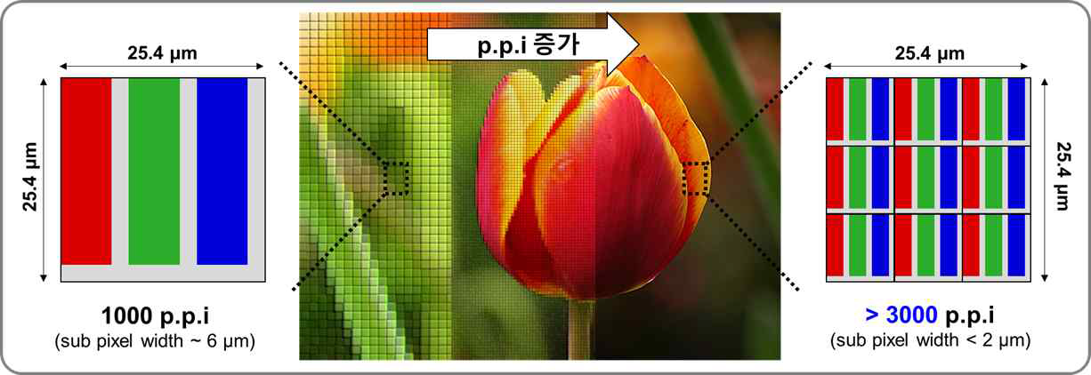 본 연구를 통하여 확보 가능한 3,000 ppi 이상의 초고해상도 패터닝 예상도