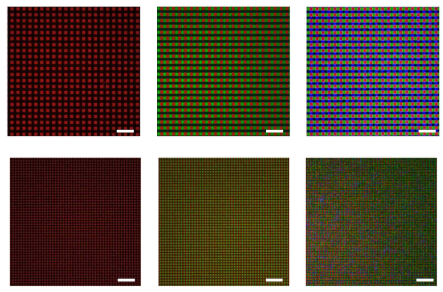 RGB 초고해상도 양자점 패턴의 형광 이미지. (위) 7,066 ppi, (아래) 15,875 ppi.스케일 바, 10 μm