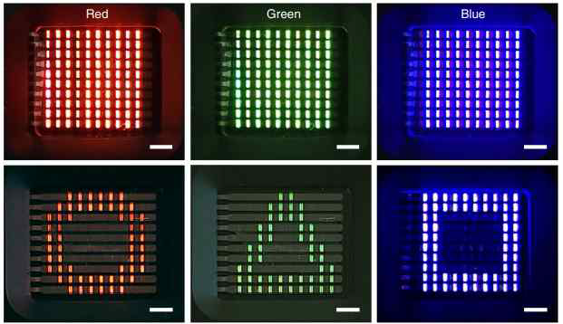 스케일바 2 mm. RGB 광가교 양자점 패터닝을 통한 EL 소자 구동 사진