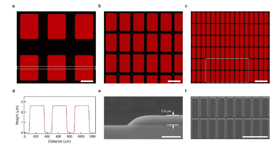 (a-c) 광패터닝된 QD-photoresist　(QD-PR) blend film의 형광 이미지. QD-PR blend 용액은 NS-BP (7 mol%)와 MMES (93 mol%) 리간드로 구성된 30 wt의 InP (r = 1.9 nm)/ZnSexS1-x (h = 3.2 nm) 양자점을 포토레지스트 (DONGJIN SEMICHEM, EH101R)와 혼합하여 사용함. (d) 패턴된 양자점 필름의 height profile, SEM 분석 (e) 단면　및 (f) top view 이미지
