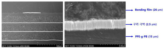 70μm 선폭을 갖는 4층구조 FCCL 및 회로 단면 FE-SEM 이미지