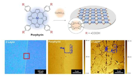 Porphyrin 단일층 제조 및 MXene-porphyrin stacking 구조 분석