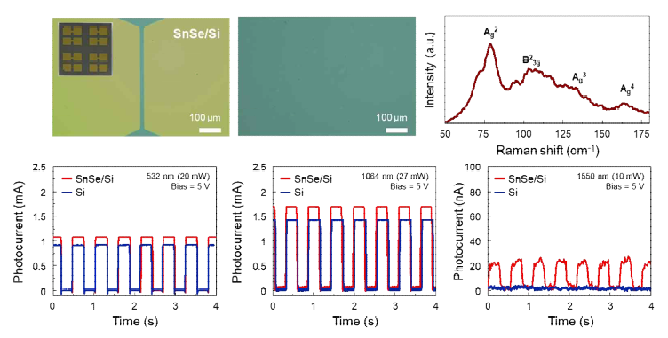 3차년도 SPAD 플랫폼과의 integration을 위한 Si 기판에 직접 합성된 SnSe 기반 광센서 의 실제 사진 및 광학현미경 관측결과, 라만분광분석 결과, 및 광전기적 특성 분석결과