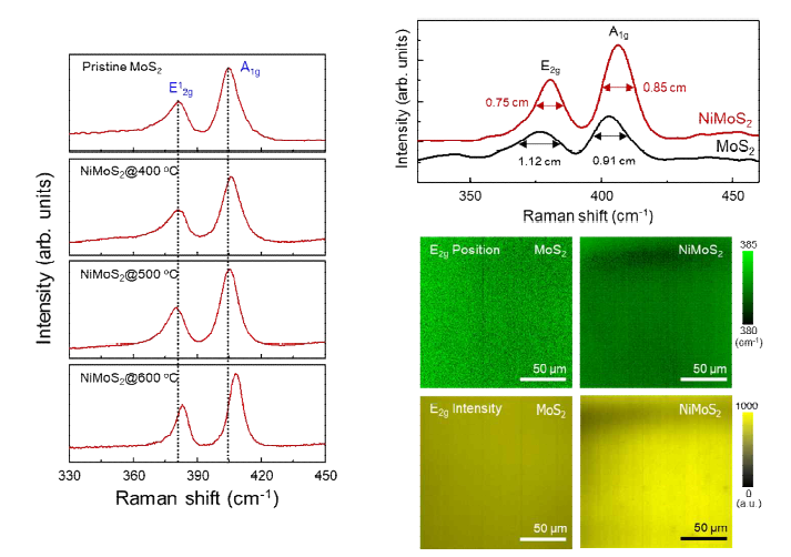신규 단일전구체 기반 2차원 삼원계 NiMoS2 소재의 라만 분광 분석결과