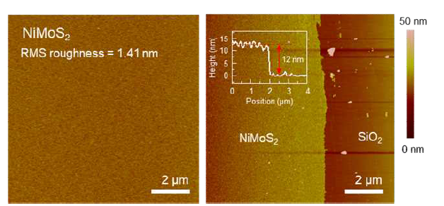 신규단일전구체 삼원계 NiMoS2 소재의 원자힘현미경 분석결과