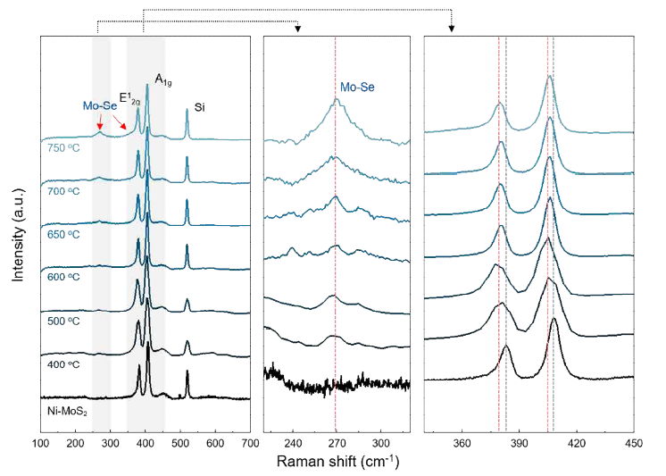 NiMoS2 기반 Se을 도핑을 통한 2차원 사원계 NiMoSSe 층상소재의 라만 분광 스펙트럼 분석결과