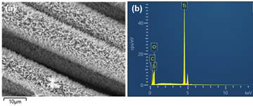 (a) SEM image of TiO2/CC sample at the optimal reaction temperature of 160 ℃ and (b) corresponding EDS spectrum