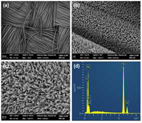 (a-c) SEM images of TiN/CC at different magnifications and (d) EDS spectrum