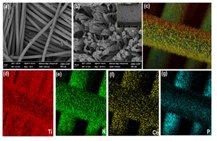 (a-c) SEM and (d-g) EDS mapping images of the CoPx-MOF/3D TiN NRs sample. To further demonstrate the structural characteristics of TiN NRs, we performed TEM analysis