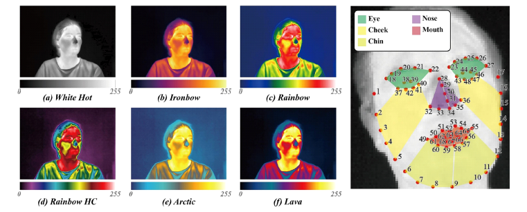 열화상 이미지에 적용된 칼라맵과 68개 랜드마크로 정의된 얼굴 구성 요소의 ROIs.