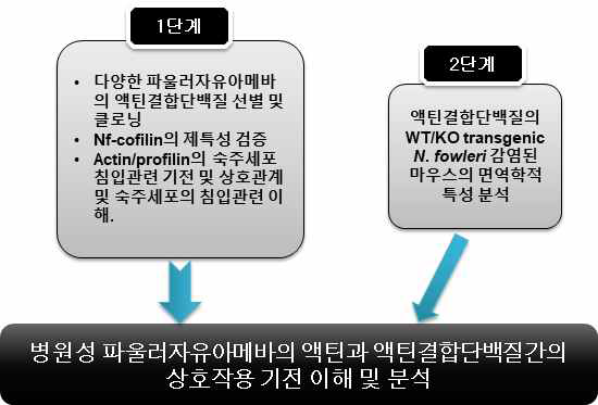 연구 개발 과제의 총괄 연구내용 도식도