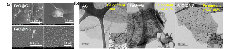 (a) FeO@G와 FeO@NG의 저배율과 고배율 FE-SEM 결과. (b) AG, FeO@G, FeO@NG의 저배율과 고배율 Bio-TEM 결과
