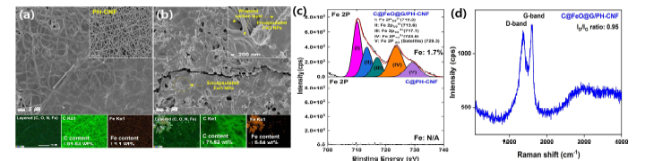 FE-SEM 및 원소 맵핑 SEM-EDX 결과: (a) C@PH-CNF (삽입: PH-CNF), (b) C@FeO@G/PH-CNF, (c) XPS F1s 피팅 결과, (d) 라만 분석결과