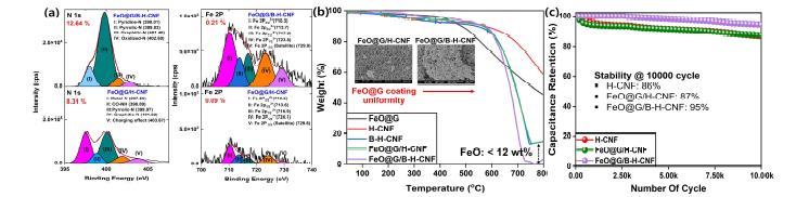 (a) FeO@G/B-H-CNF와 FeO@G/H-CNF의 XPS N1s 및 Fe 2P 피팅 결과, (b) TGA 분석 결과 (N2 가스, 승온 속도: 5℃/min), (c) 전극 내구성 평가 결과 (3 M KOH, 측정 전류밀도: 5 A g-1)