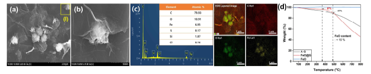 FeO@G의 저배율 (a)과 고배율 (b) FE-SEM 사진. (c) FeO@G의 EDS 원소분석 및 탄소 (C), 산소 (O), 철 (Fe) 원소 맵핑 결과. (d) AG, FeO, FeO@G의 TGA 분석 결과 (질소가스 분위기, 승온 속도: 5 ℃/min)