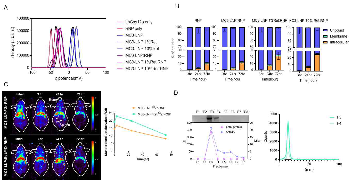 A. LNP 제작 후 화학적 특성 확인한 DLS 결과. B. MC3-LNP 의 세포 내 유입 확인한 cell internalization assay. C. 소동물 내 거동 확인한 PET 영상. D. LbCas12a-D1180A 단백질의 Zr-89 결합을 확인한 fractionation 별 radio-activity 값과 purity 확인