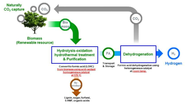 바이오매스 기반 수소저장체 생산 및 탈수소 융합 공정을 통한 전주기 수소 생태계