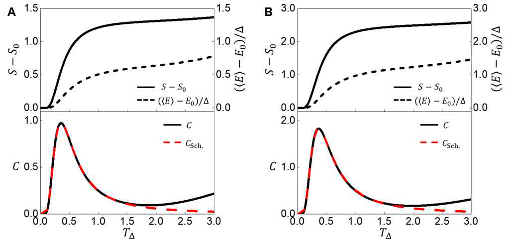 (A) BF 와 (B) TF 가반전 유닛 구조의 저온 특성. T, E, S, C 는 각각 온도, 에너지, 엔트로피, 비열에 해당함. Δ 는 BF 및 TF에서 기저상태와 1차 들뜬상태 사이의 에너지 차이를 나타냄. TΔ = T/Δ, 볼츠만 상수 kB=1 인 조건 하에서 기술됨. E0, S0는 기저상태의 값을 의미하며,  는 E 의 앙상블 평균을 의미함. 비열 그래프 내 빨간색 점선은 쇼트키 어노말리에 대한 이론계산 값임