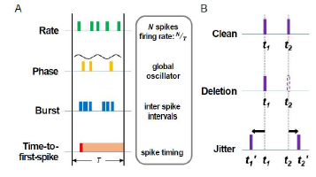 Neural coding and spike noise