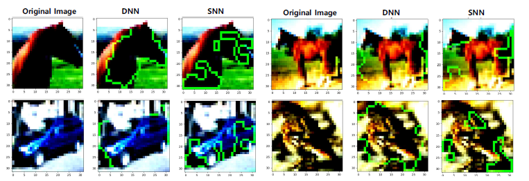 Integrated gradient 결과 (DNN, SNN) (sampled from CIFAR10 dataset)