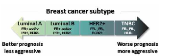 유방암 타입에 따른 환자의 예후