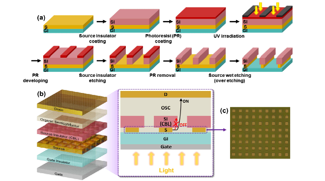 (a) 개발된 곤충 홑눈 구조의 나노 네트워크 소스 전극 제작 공정 과정 모식도. (b) 수직구 조 기반 광 트랜지스터의 개형 및 (c) 네트워크 형태의 소스 전극 현미경 이미지.