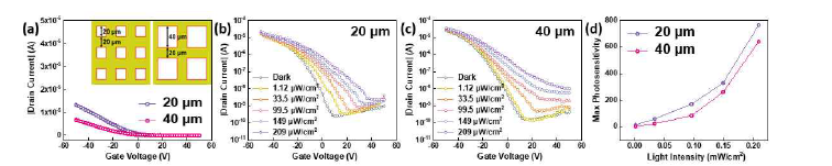 20 μm너비의 소스 절연체와 20, 40 μm의 천공 크기를 갖는 수직구조 기반 광 트랜지스터의 전기적/광학적 특성 비교 그래프. (a) On-current의 비교. (b) 20μ m와 (c) 40 μm 천공 크기를 갖는 소자의 광신호에 따른 트랜스퍼 특성 곡 선. (d) 트랜스퍼 특성 곡선으로부터 추출된 두 소자의 최대 광감도 비교 그래프.