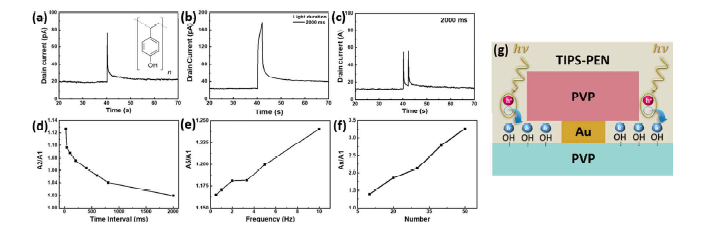 PVP 고분자 기반 수평 광 트랜지스터의 시냅스 특성(a-f) (a) short-term plasticity (STP) 특성을 보여주 는 excitatory postsynaptic current (EPSC), (b) long-term plasticity (LTP), (c) Paired-pulse facilitation (PPF), (d) PPF index, (e) Spiking-rate dependent plasticity (SRDP) index, (f) Spiking-number dependent plasticity (SNDP) index, (g) PVP 절연체에 의한 소자 내 광 유도 전하 트랩 특성 구현 개념도