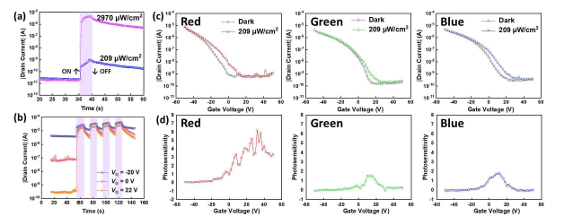 빛 세기에 따른 개발된 수직구조 소자의 광 반응 시냅스 특성. 소자의 (a) STP, LTP 특성 및 (b) SNDP 특성. 가시광선 영역에서 소자의 (c) 빛 반응 특성 및 (d) 광감도 그래프.