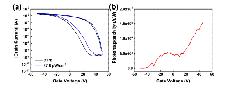 SWCNT 기반 수평구조 광 트랜지스터의 (a) 광조사에 따른 트랜스퍼 특성 곡선과 (b) (a)의 그래프로부터 추출된 광반응도 그래프