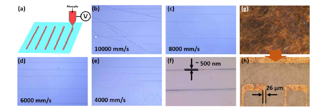(a) 금속 나노와이어 정렬 기술 공정 모식도. 기판 이동 속도 (b) 10000, (c) 8000, (d) 6000, (e) 4000 mm/s에서의 프린팅된 나노와이어 현미경 사진. (f) 나노와이어 정렬 프린팅 기술을 활용하여 형성된 500 nm 수준의 나노와이어. (g) AgNW 전면 도포된 현미경 사진(패터닝 전) (h) 포 토리소그래피를 통해 26 μm 너비 AgNW 패턴 형성.