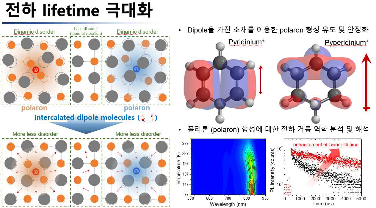 dipole를 지니고 있는 물질을 이용한 폴라론 형성 및 이를 이용한 전하 lifetime 극대화 기술 개발